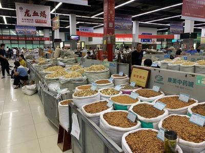中部崛起勢正勁 安徽亳州如何“抓一把中藥，服下一帖驕傲”？——從傳統(tǒng)藥都到現(xiàn)代商品批發(fā)貿易中心的轉型之路